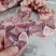 满肉腿骨块