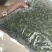 商丘速冻荠菜可根据客户要求定制