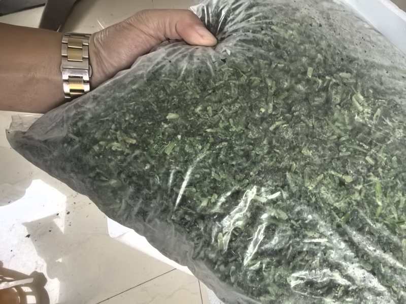 商丘速冻荠菜可根据客户要求定制