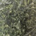 商丘速冻荠菜可根据客户要求定制