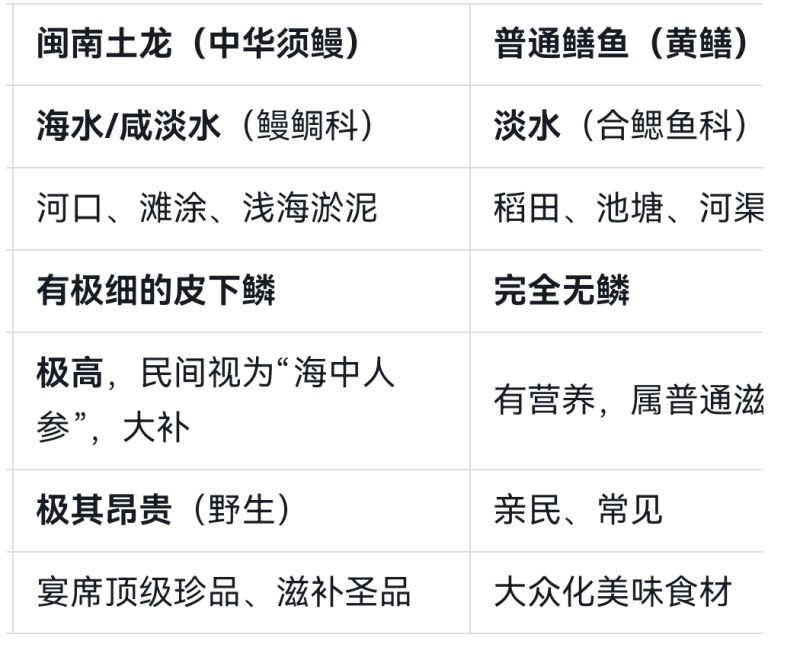 骨鳝（土龙），学名：中华须鳗，区别于普通黄鳝