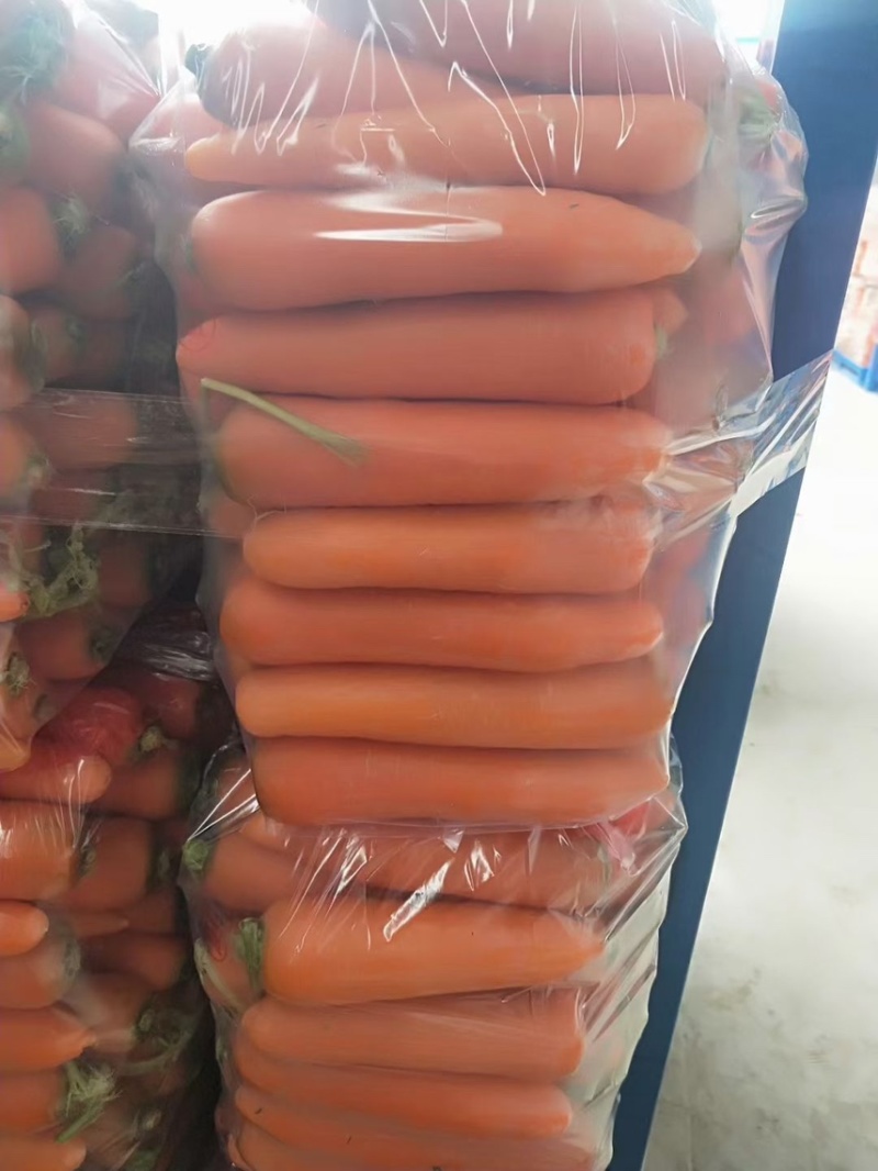 黄色胡萝卜【河南开封通许万亩基地直供高质量高标准】
