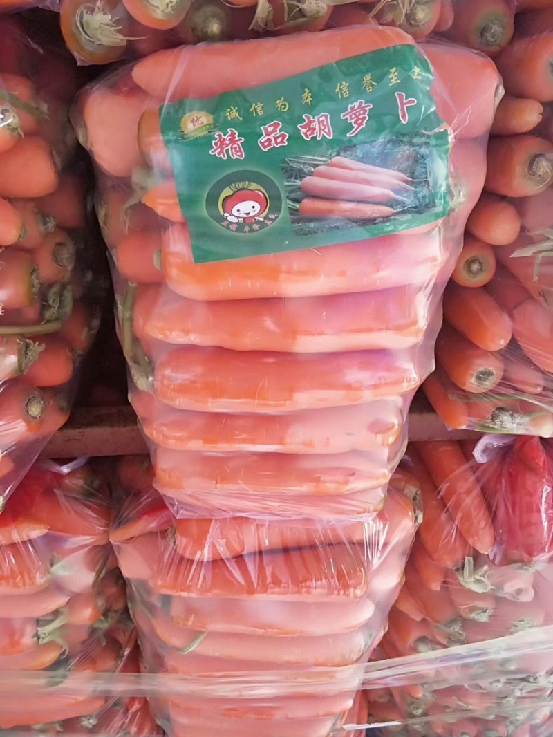 黄色胡萝卜【河南开封通许万亩基地直供高质量高标准】