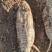 葛根九江黄土质新土地种植精品发货新鲜出土质量好