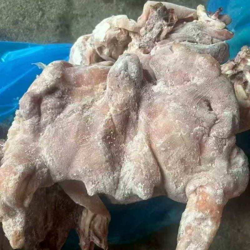 【熟羊杂】精品熟羊头肉