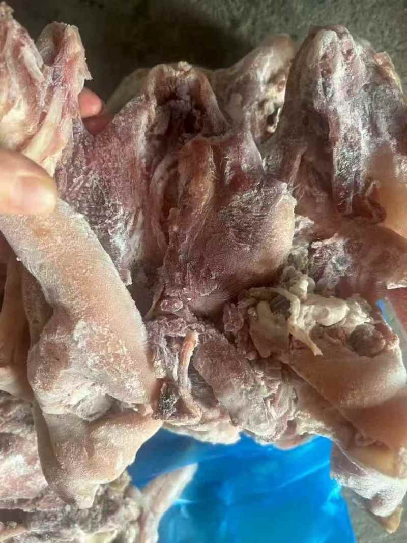 【熟羊杂】精品熟羊头肉