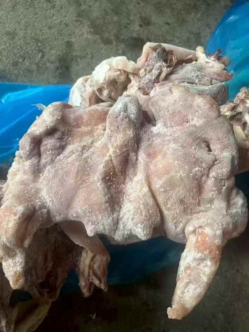 【熟羊杂】精品熟羊头肉