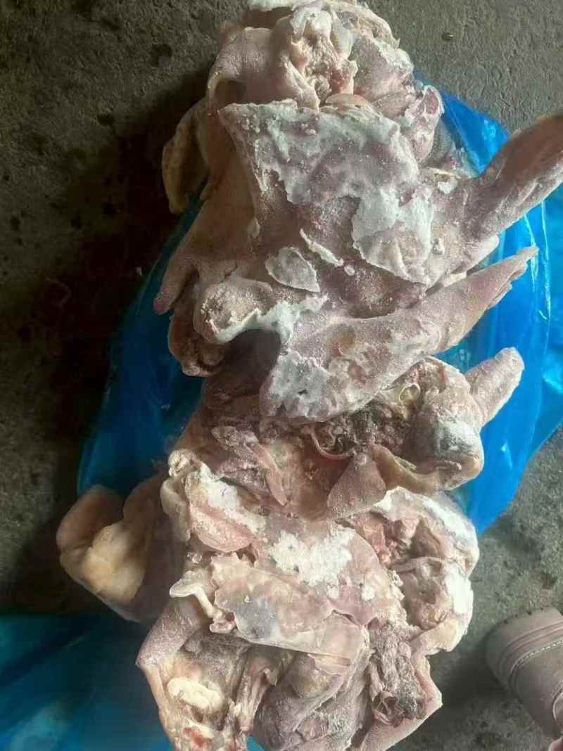【熟羊杂】精品熟羊头肉