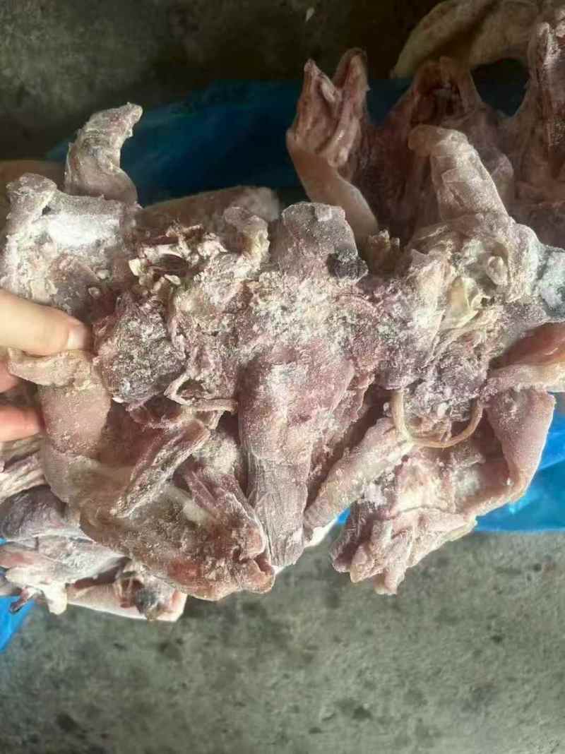 【熟羊杂】精品熟羊头肉