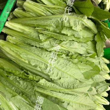 2025.12.30成都市彭州货品单价