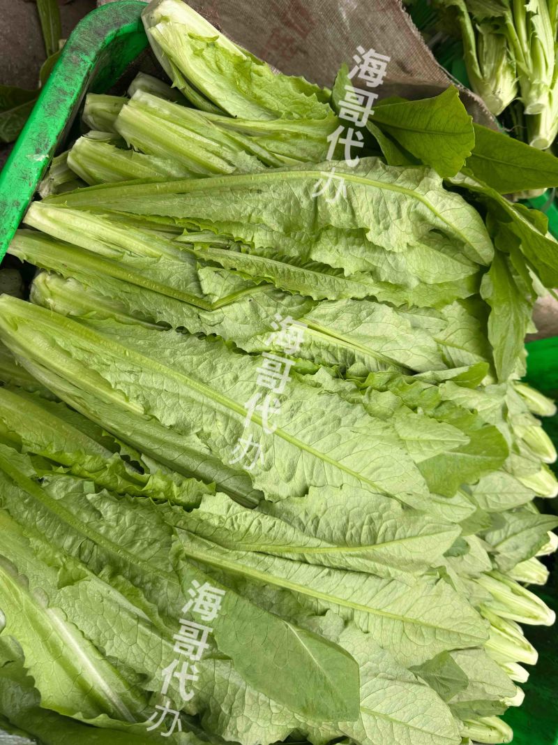 2025.12.30成都市彭州货品单价