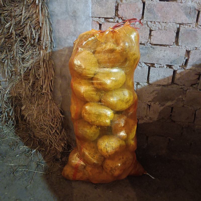 陇十特大