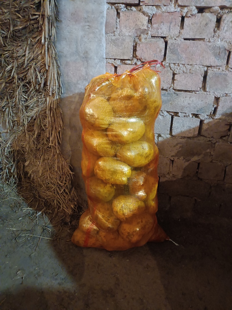 陇十特大