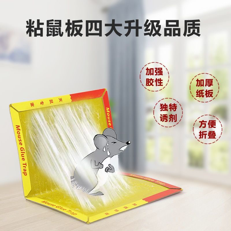 强力粘鼠板家用正品超强力胶捉粘大老鼠灭鼠捕鼠神器一窝