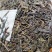 云南普洱茶曼岗古树357克饼