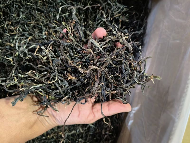 源头茶叶2025年邦东混采秋茶