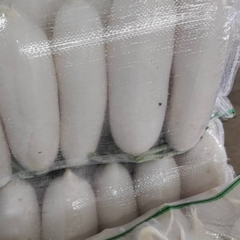 白，无黑点，无水印