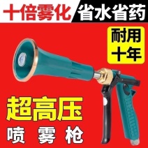 雾化打药机喷枪台湾农用电动喷雾器高压柱塞泵果树喷雾枪
