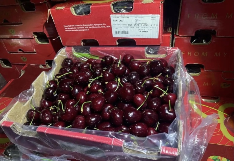 美早🍒团购抖音拼多多视频号快手直播带货