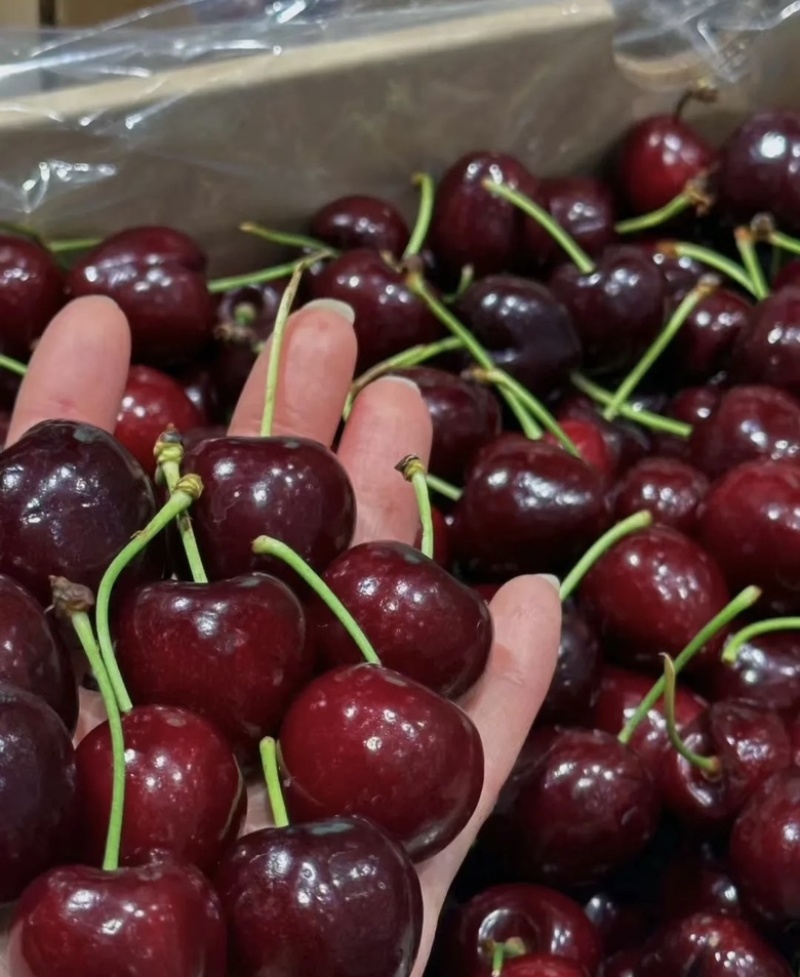 美早🍒团购抖音拼多多视频号快手直播带货