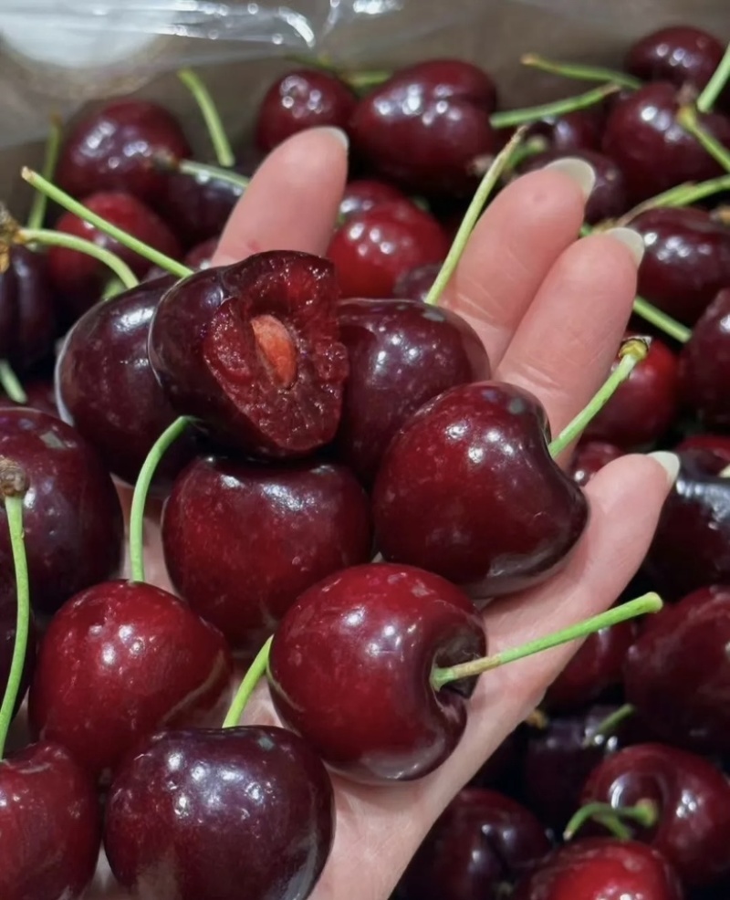 美早🍒团购抖音拼多多视频号快手直播带货