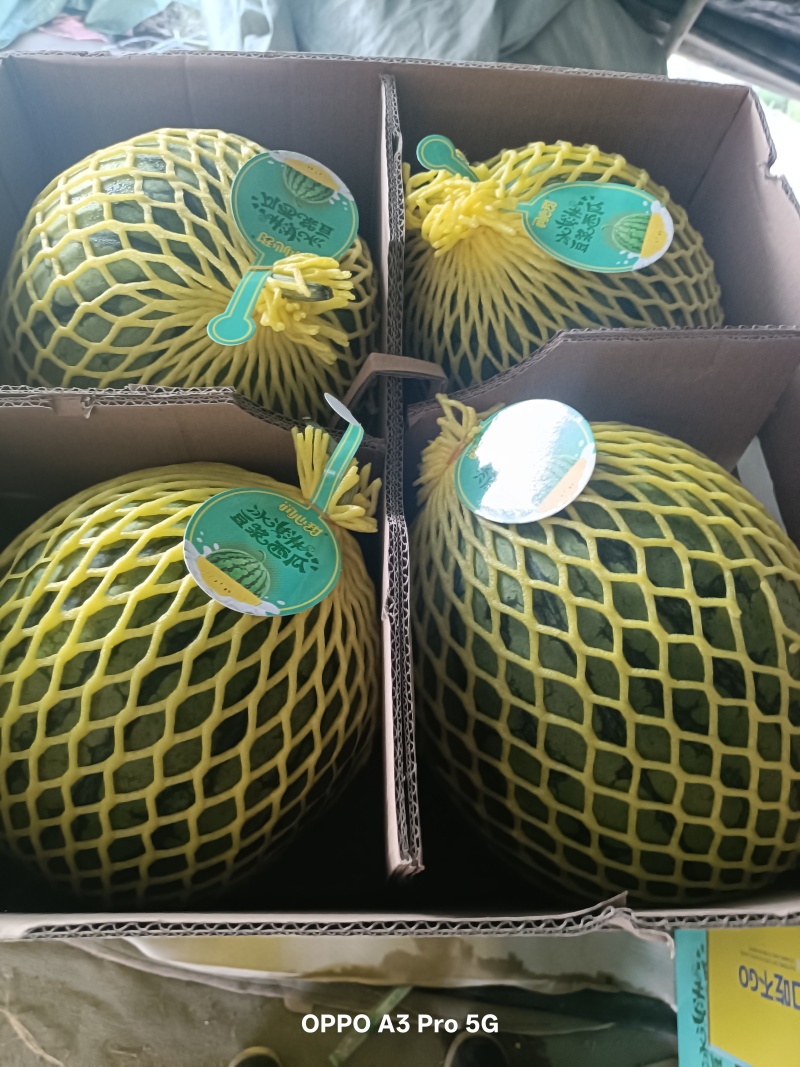 小凤西瓜供应链品质保证甜度保证发货全程售后