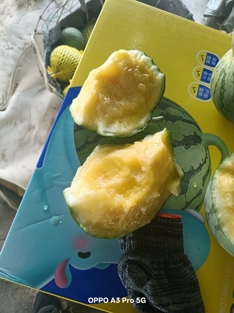 小凤西瓜供应链品质保证甜度保证发货全程售后
