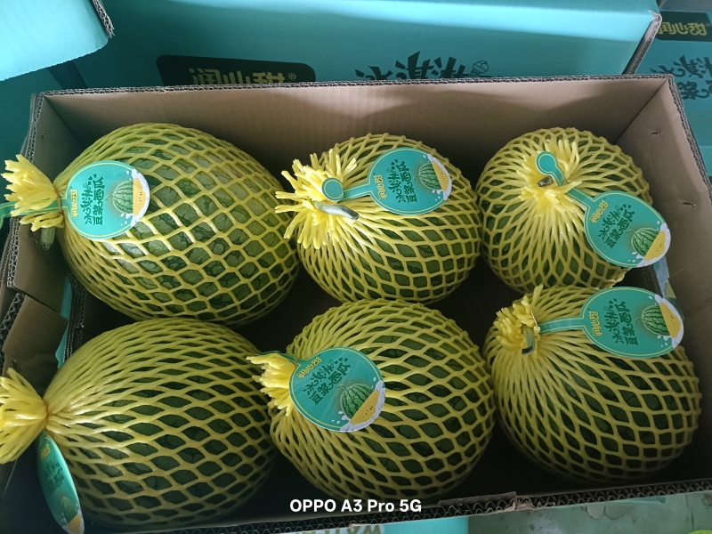小凤西瓜供应链品质保证甜度保证发货全程售后