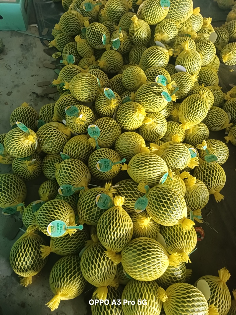 小凤西瓜供应链品质保证甜度保证发货全程售后