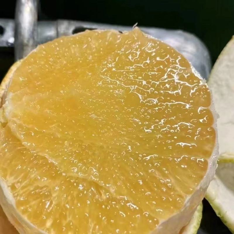 葡萄柚