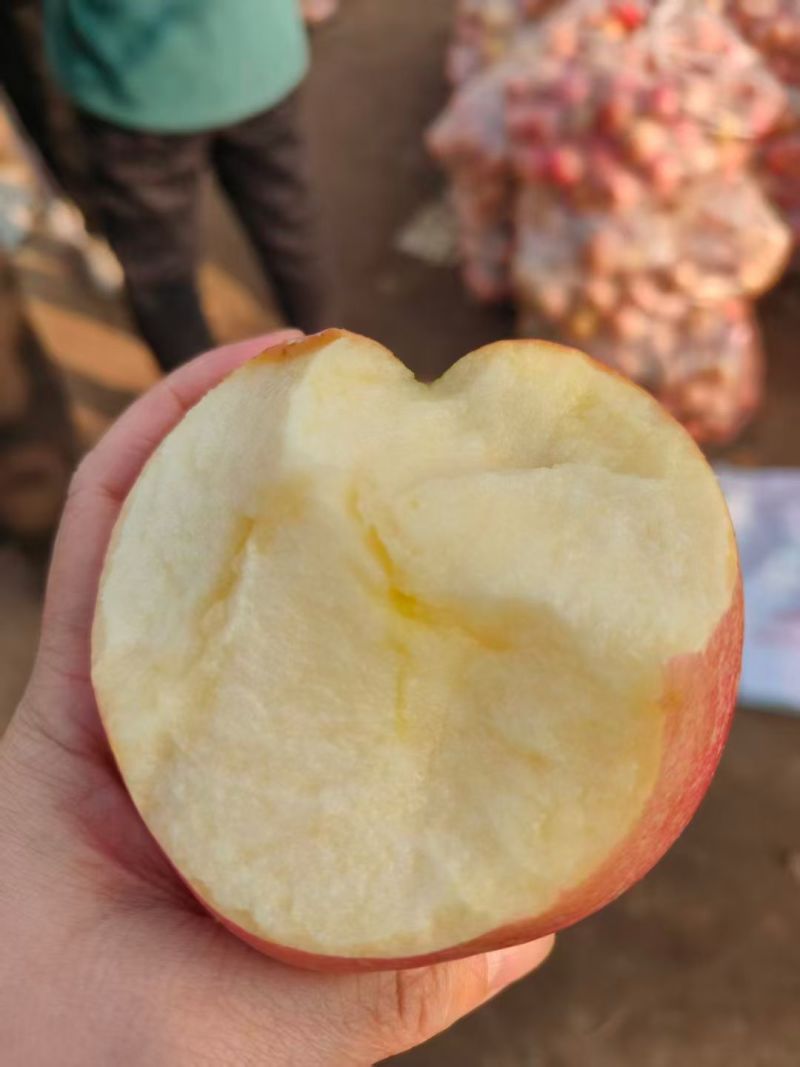 冷库红富士苹果大量有货开始出库有需要的老板联系我吧