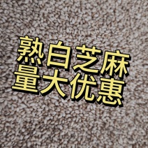 熟白芝麻电商货颗粒饱满量大从优可开票进口芝麻