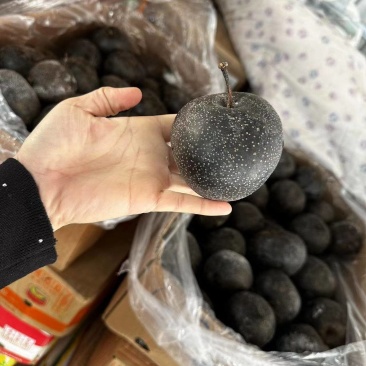 香水梨电商冻梨货源稳定现货可长期合作量大可谈