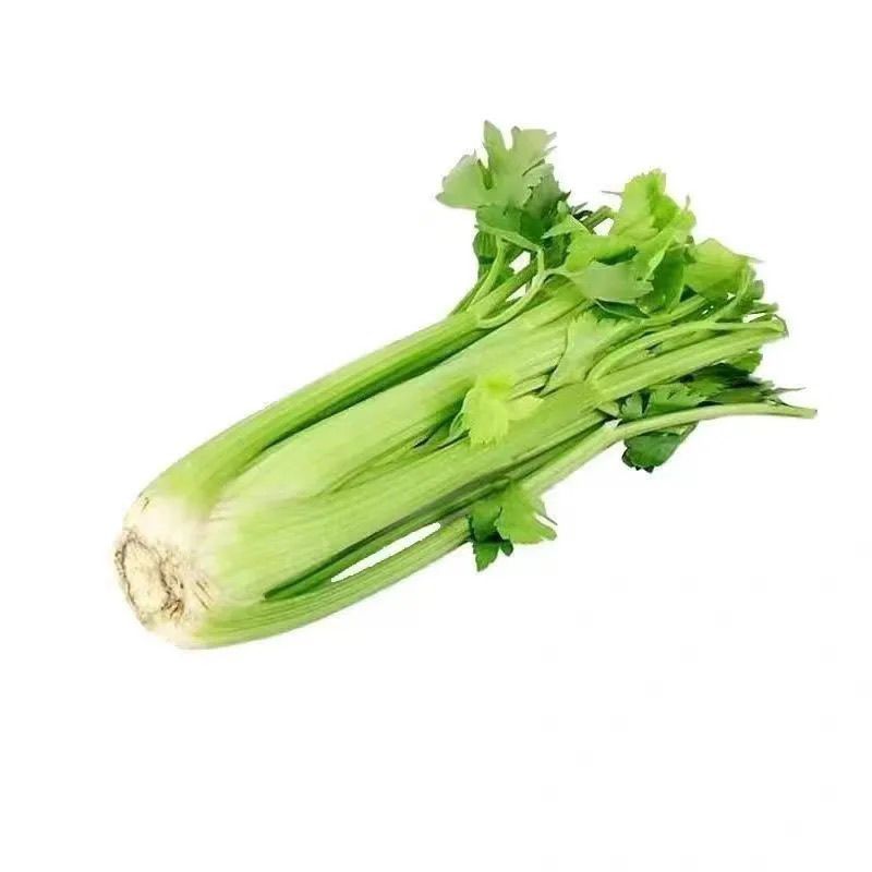本地西芹
