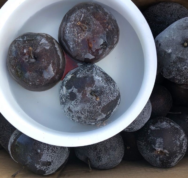 香水梨冻梨常年稳定现货电商合作联系我量大可谈