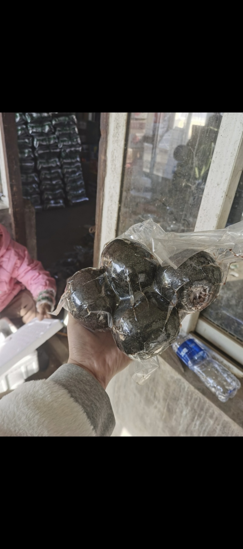 香水梨冻梨常年稳定现货电商合作联系我量大可谈