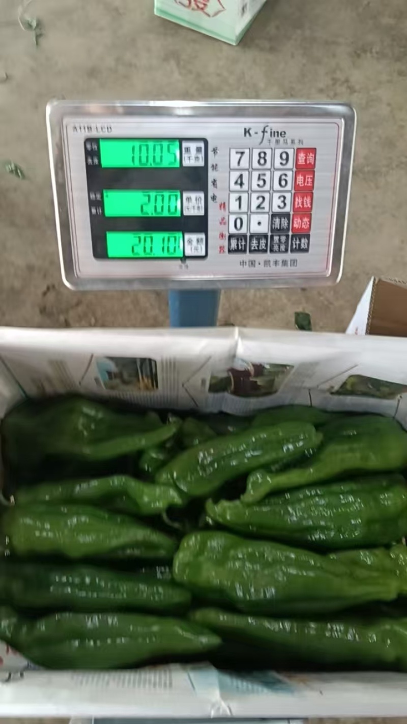 辣椒，泡椒，螺丝椒，芜湖椒，线椒产地，诚信经营，保质保量