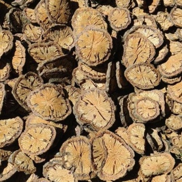血塞通大血藤云南普洱大血藤量大从优欢迎来电咨询
