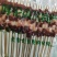 优质牛肉串草原牛肉肉质鲜美鲜串现发全国冷链发货