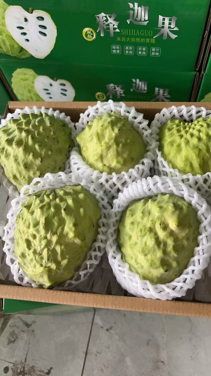 云南释迦果对接全国市场价格美丽质量好走货快欢迎询价