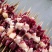 厂家直发新鲜牛肉串草原牛肉质鲜美货真价实量大价优