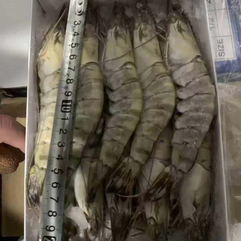 黑虎虾