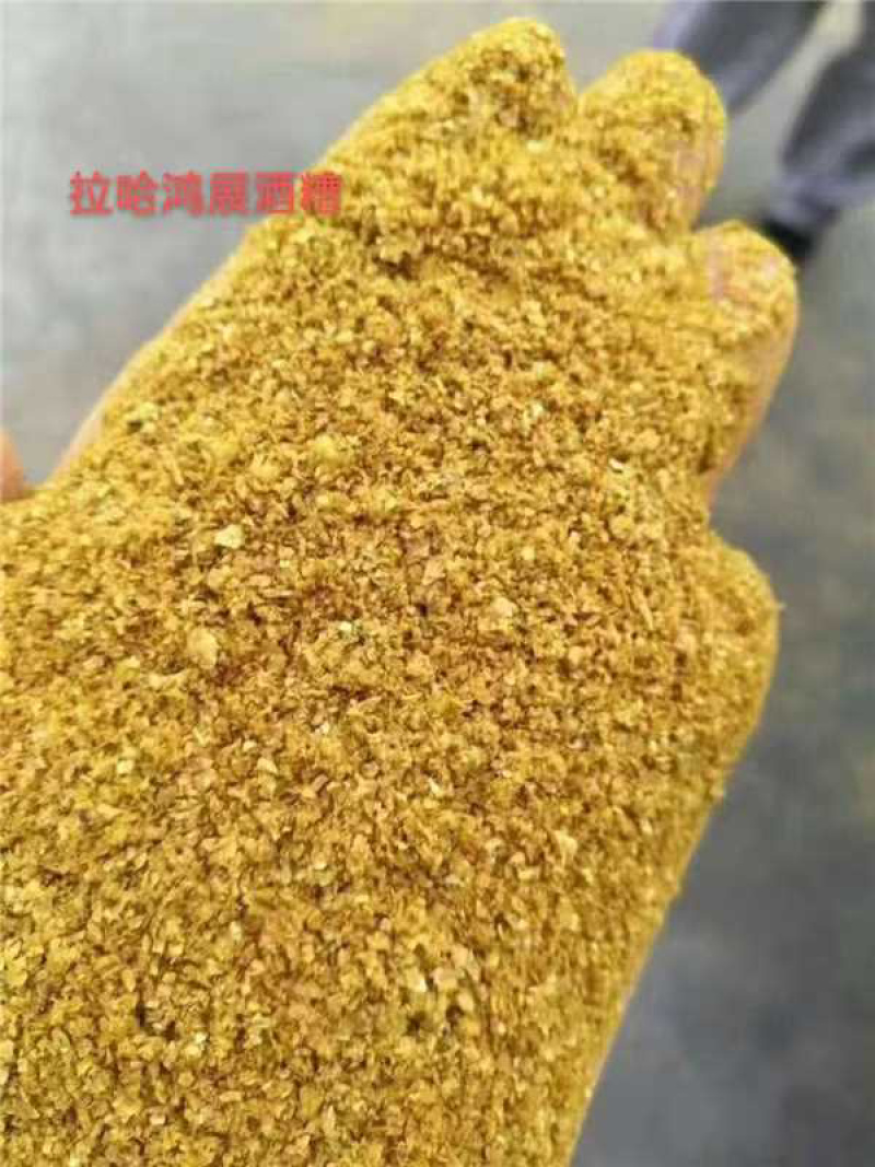 低价玉米酒糟，颜色好，香气好，毒素低，价格低
