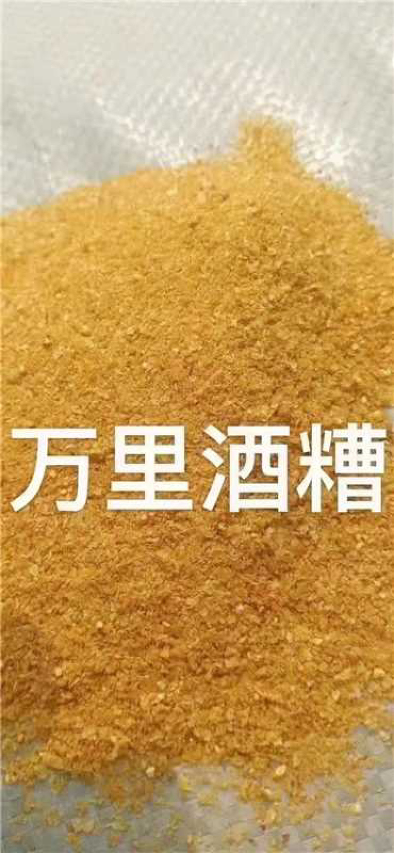 低价玉米酒糟，颜色好，香气好，毒素低，价格低