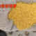 低价玉米酒糟，颜色好，香气好，毒素低，价格低