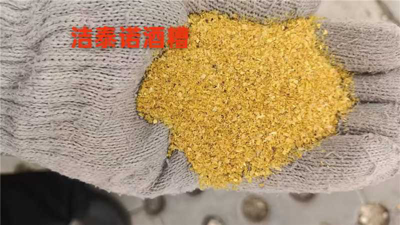 低价玉米酒糟，颜色好，香气好，毒素低，价格低