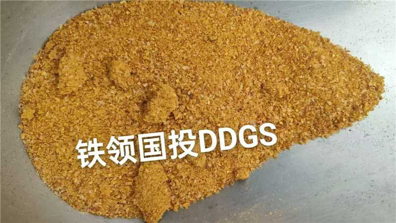 低价玉米酒糟，颜色好，香气好，毒素低，价格低