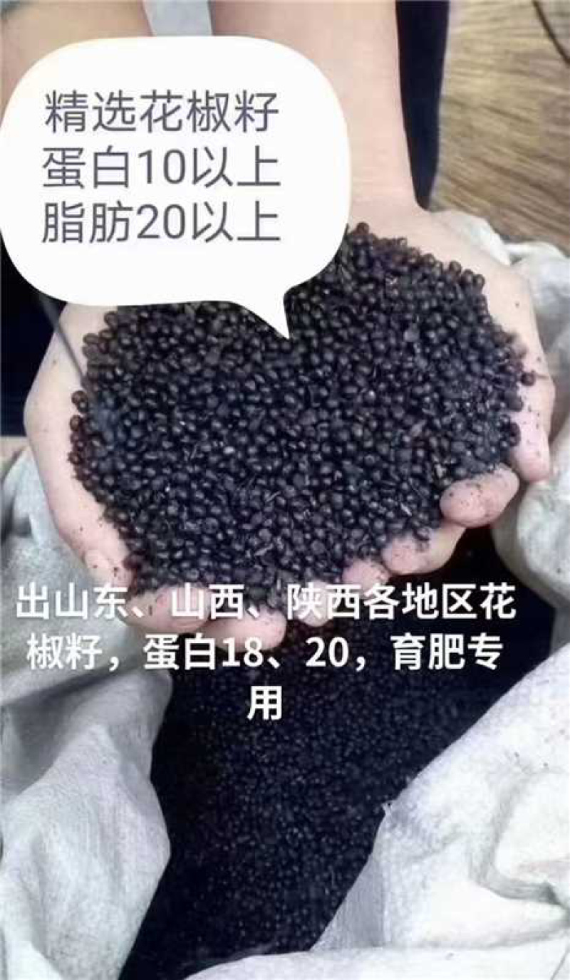 新季花花椒籽！高蛋白高脂肪，长膘快。低价合同。