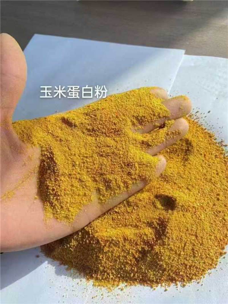 优质玉米蛋白粉，产区直供，量大从优，欢迎各大采购商