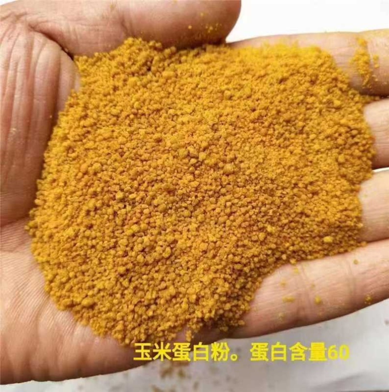 优质玉米蛋白粉，产区直供，量大从优，欢迎各大采购商